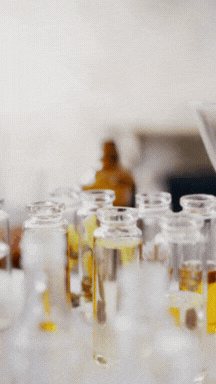 <h2>Plant-Powered<br/><span style="text-decoration:underline">Solutions</span></h2>