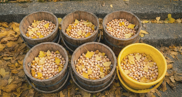 <strong>Our Ingredients & Sourcing</strong>